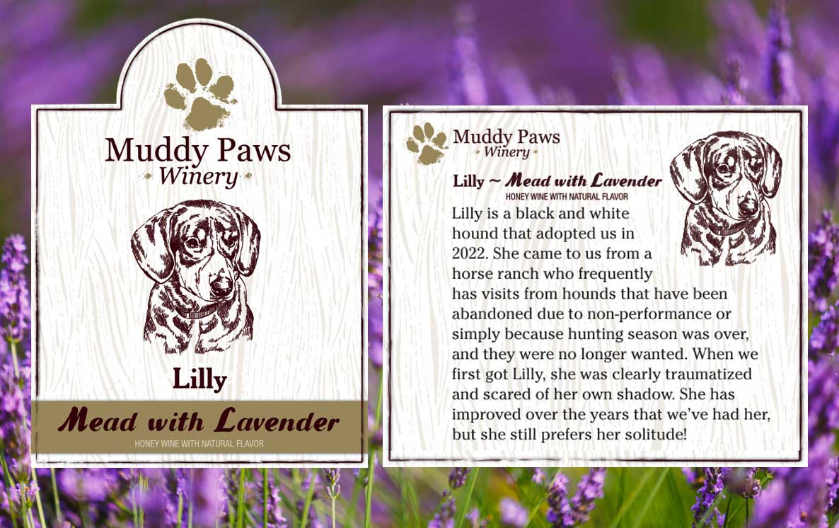 Lilly Lavender